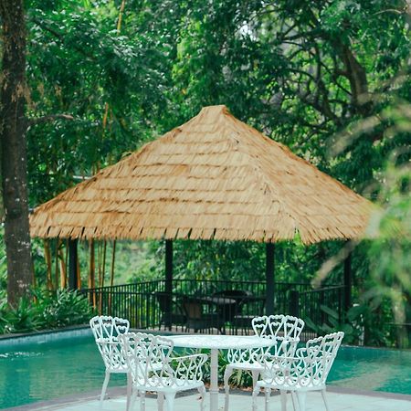 Athirapilly On The Rocks Hotel Athirappilly Ngoại thất bức ảnh