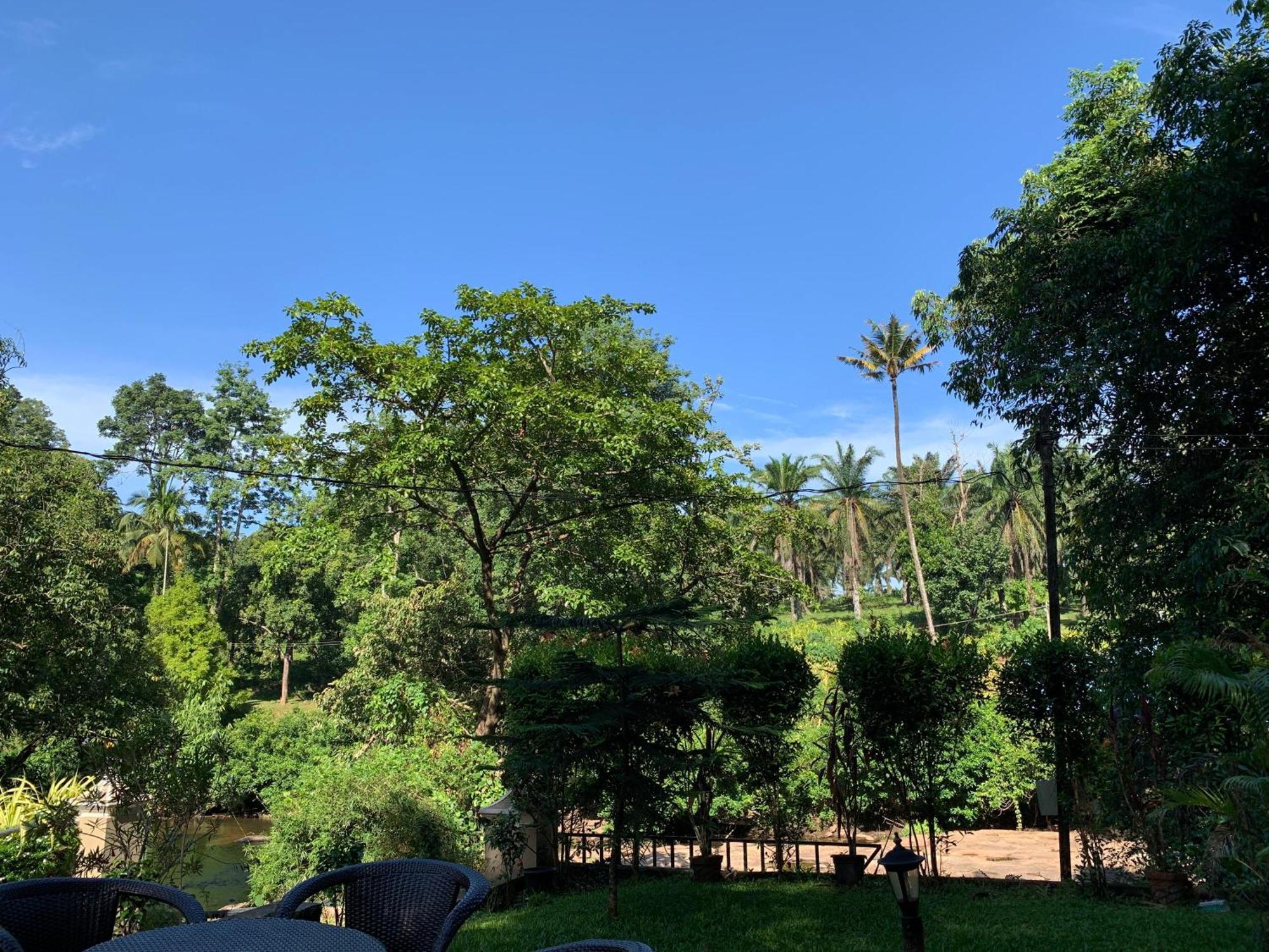 Athirapilly On The Rocks Hotel Athirappilly Ngoại thất bức ảnh